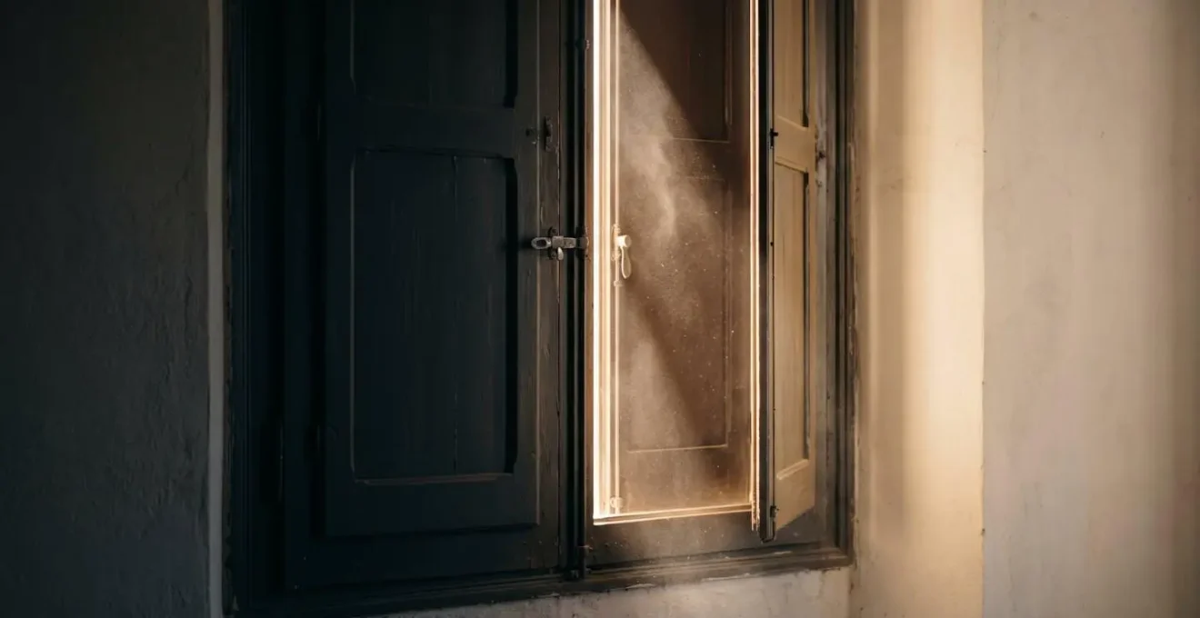 Composition symbolique montrant le passage de l'ombre à la lumière à travers une fenêtre française, métaphore de l'adaptation cérébrale aux nouveaux sons