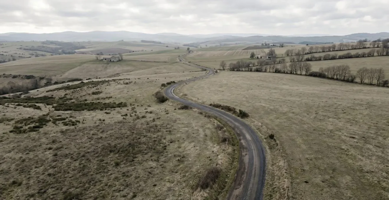 Vue aérienne minimaliste d'une route sinueuse traversant un paysage épuré avec espace négatif